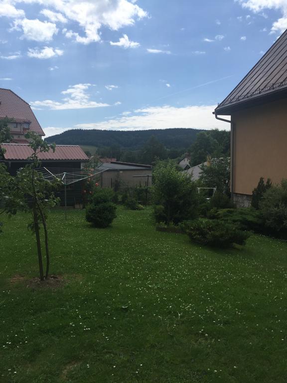 Noclegi Pod Kasztanem Душники-Здруй Экстерьер фото